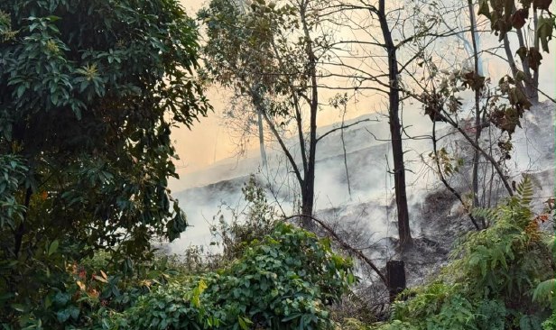 Hutan bukit di Puncak Alam seluas 0.8 hektar terbakar