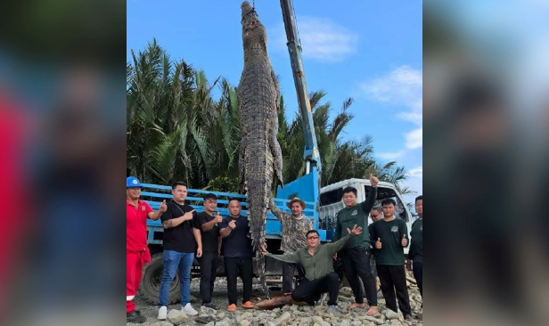 Buaya 'gergasi' disyaki pernah serang manusia, berjaya ditembak