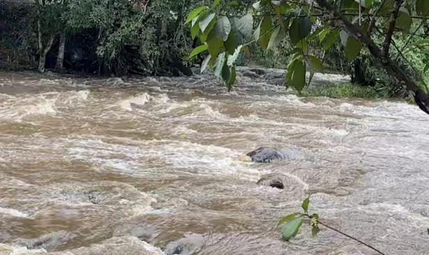 Kepala air: 3 maut dihanyut arus deras Sungai Sedim