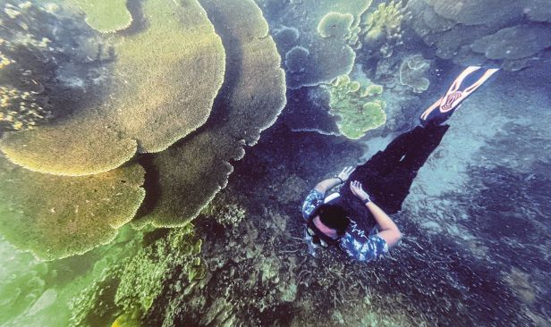 Kesalahan jejas taman laut, rizab laut kini boleh didenda sehingga RM1 juta