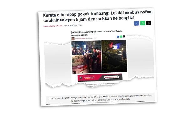 DBKL kerjasama pakar arboris mula siasatan teknikal, pemeriksaan menyeluruh