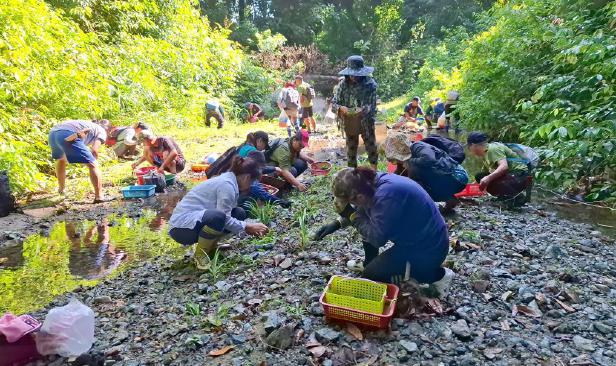 Pemuliharaan hutan di Lower Kawag buka peluang ekonomi kepada komuniti Kampung Tampenau