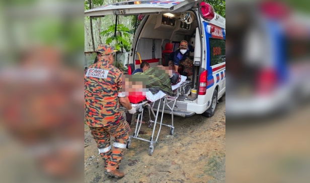 Suami isteri dikejarkan ke hospital selepas termakan cendawan beracun