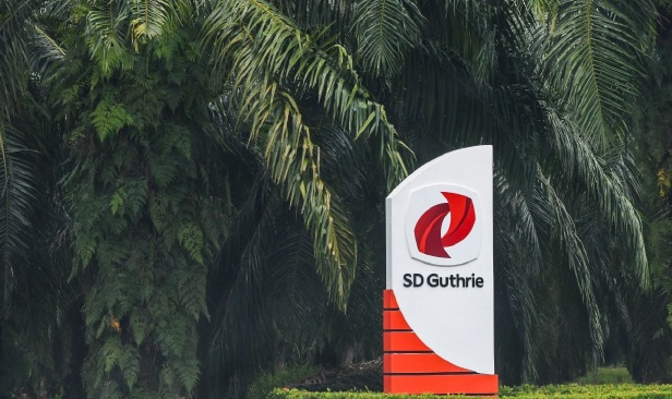 SD Guthrie runding isu rampasan tanah jejas ladang sawit di Indonesia